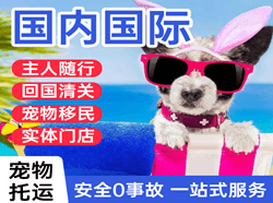 佛山沙堤机场物流国际宠物托运 【国